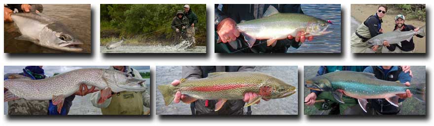 Alaska Fly Fishing Lodges, Trophy Rainbow Trout, Pacific Salmon