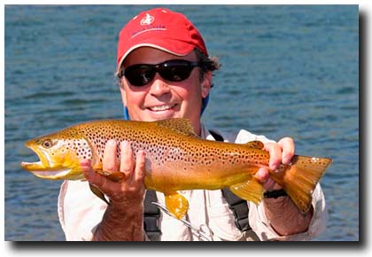 Fly Fishing Andes, Trout Fishing Northern Patagonia, Argentina •