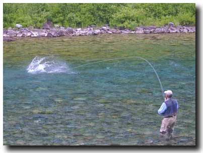 Camp Bonaventure Guest hooked up to an Atlantic Salmon