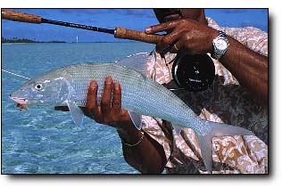 A Nice Pete and Gay's Bonefish