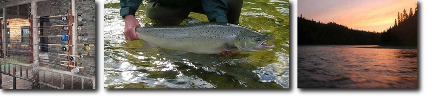 Atlantic Salmon Fishing - Eastern Canada - 1178