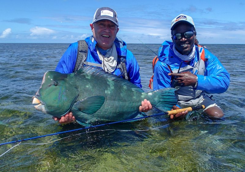bumphead parrotfish seychelles farquhar atoll angler adventures clinton ct 2
